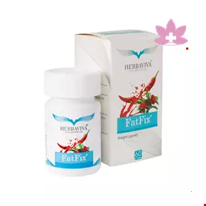 Herbaviva Fat Fix 30 Tablet