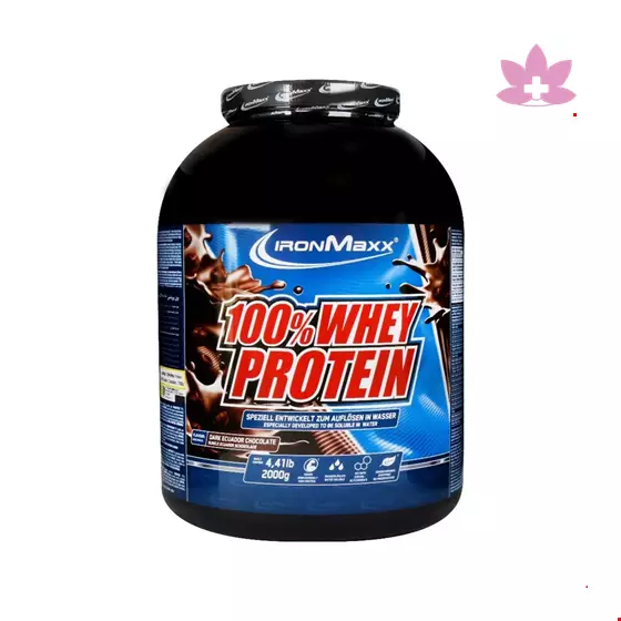 Iron Max 100 % Protein Whey Powder 2000g