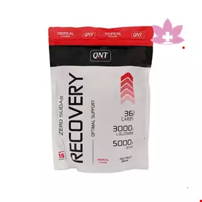 QNT Recovery Powder 750 g